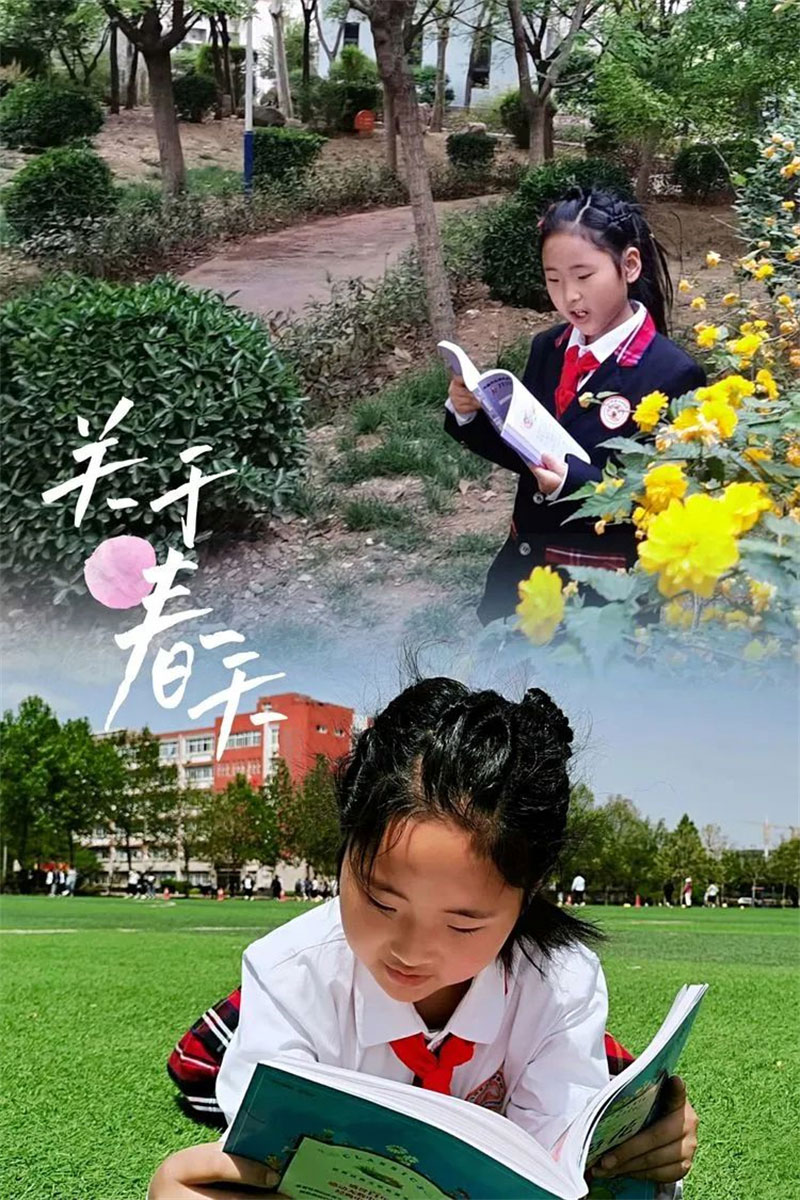 华洋之声——遇“荐”好书,收获喜“阅” 华洋之声——遇“荐”好书,收获喜“阅”