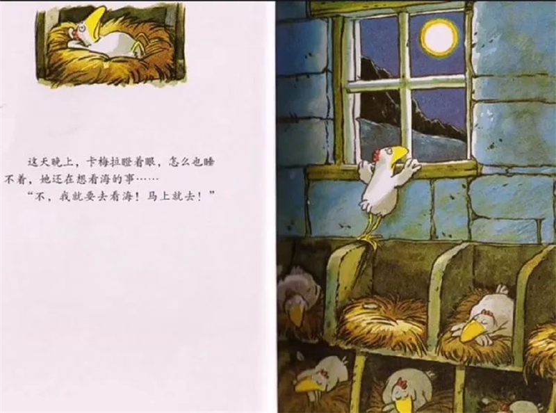 华洋之声——遇“荐”好书,收获喜“阅” 华洋之声——遇“荐”好书,收获喜“阅”